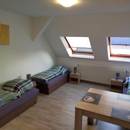 Flex Aparts - Grosse, Moeblierte Wohnung In Zwickau Mit 2 Zimmern Eksteriør billede