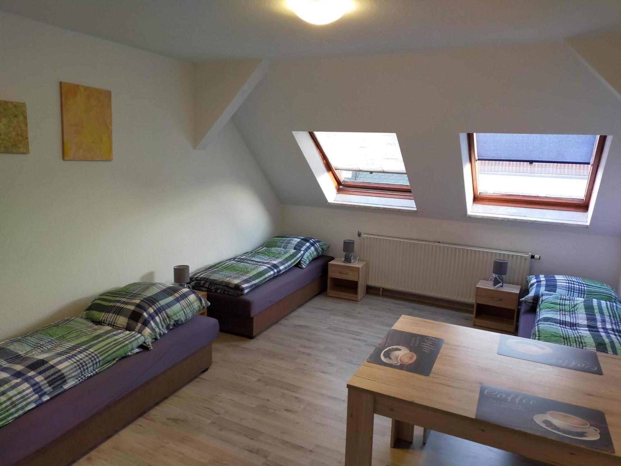 Flex Aparts - Grosse, Moeblierte Wohnung In Zwickau Mit 2 Zimmern Eksteriør billede